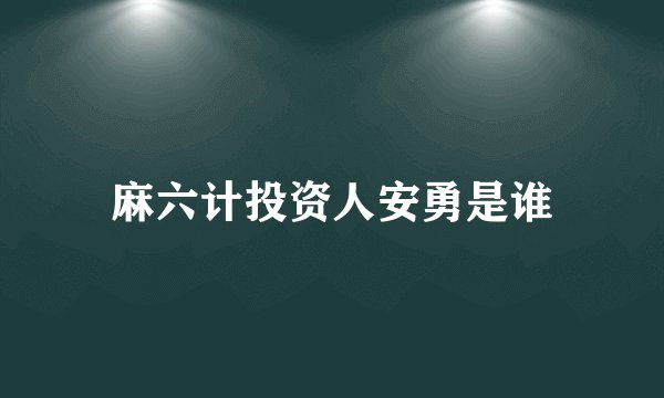 麻六计投资人安勇是谁