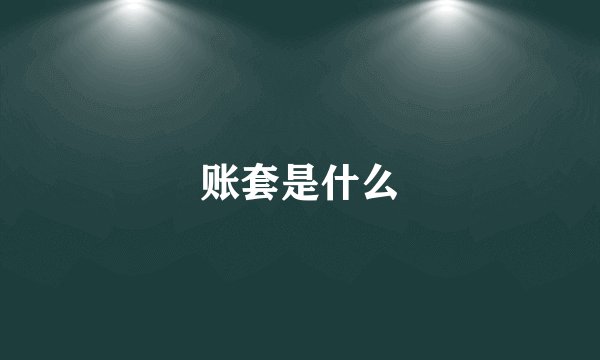 账套是什么