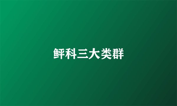 鲆科三大类群