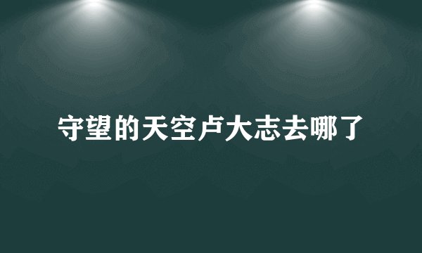 守望的天空卢大志去哪了