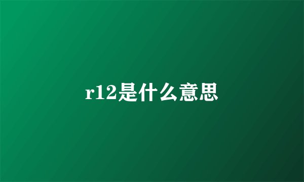 r12是什么意思