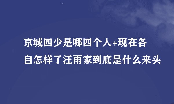 京城四少是哪四个人+现在各自怎样了汪雨家到底是什么来头