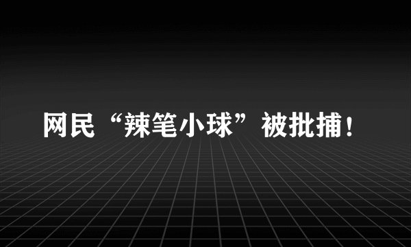网民“辣笔小球”被批捕！