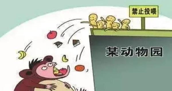 游客喂动物遭工作人员举喇叭辱骂，闪创教育：需遵守动物园的规定！
