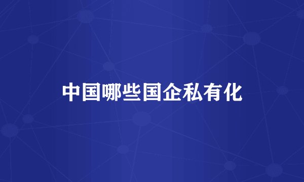 中国哪些国企私有化