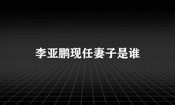李亚鹏现任妻子是谁