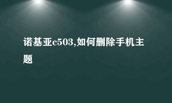 诺基亚c503,如何删除手机主题