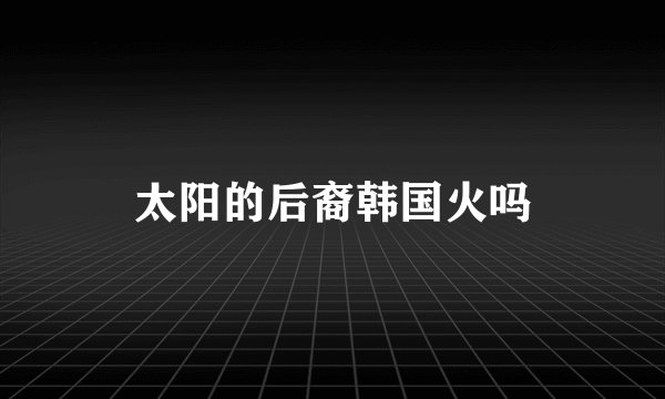 太阳的后裔韩国火吗