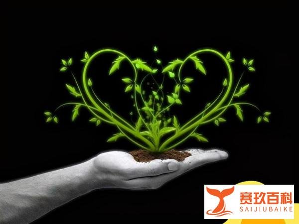 4个月女婴坠楼，父亲却拒绝治疗：黄奕、张歆艺的做法感动无数人