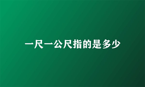 一尺一公尺指的是多少