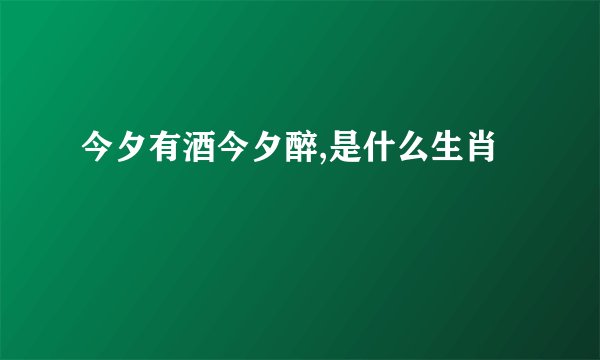 今夕有酒今夕醉,是什么生肖