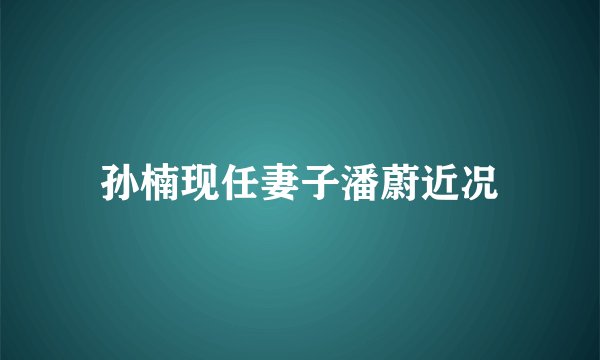 孙楠现任妻子潘蔚近况