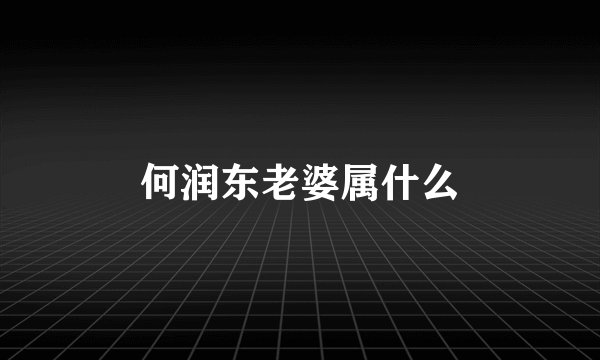 何润东老婆属什么