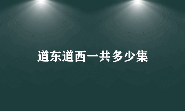 道东道西一共多少集