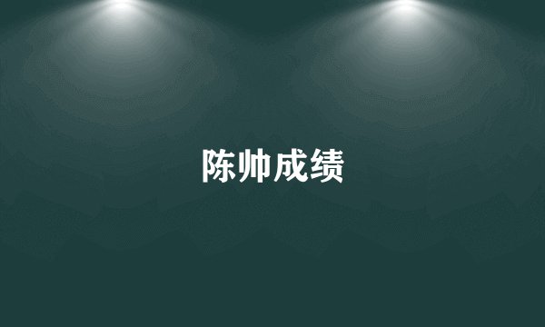 陈帅成绩