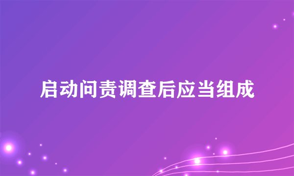 启动问责调查后应当组成