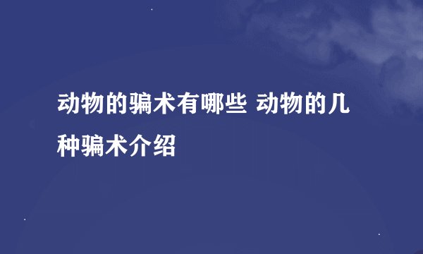 动物的骗术有哪些 动物的几种骗术介绍