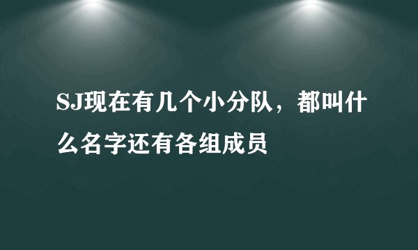 SJ现在有几个小分队，都叫什么名字还有各组成员