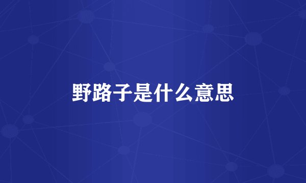 野路子是什么意思