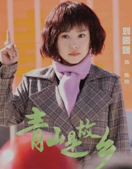 青山是故乡 1-48 集剧情介绍