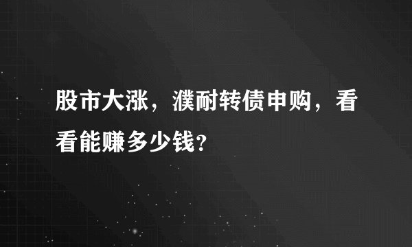 股市大涨，濮耐转债申购，看看能赚多少钱？