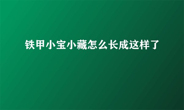 铁甲小宝小藏怎么长成这样了