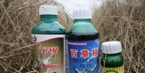 农业农村部：百草枯产品不得在境内销售