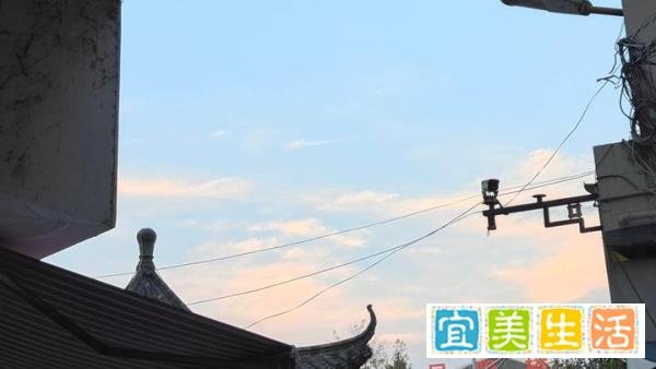 【原耽推文】竹马竹马