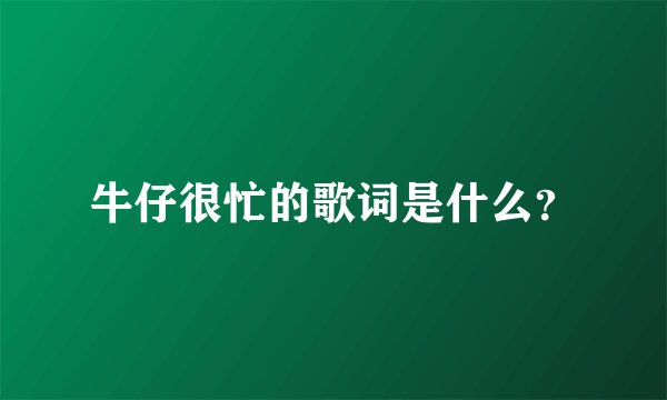 牛仔很忙的歌词是什么？
