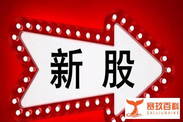 怎么提高打新股中签率？?
