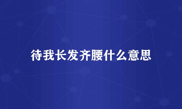 待我长发齐腰什么意思
