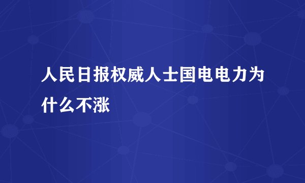 人民日报权威人士国电电力为什么不涨