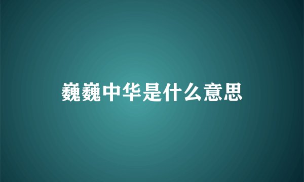 巍巍中华是什么意思