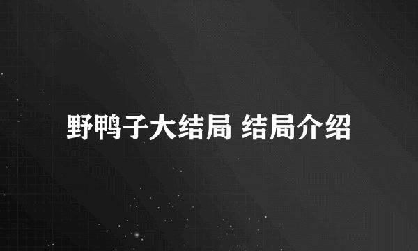 野鸭子大结局 结局介绍