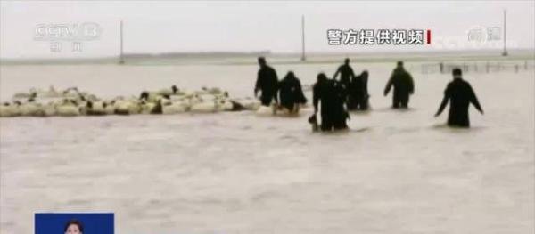 山洪致1000多只羊被困民警蹚水救援 这是咋情况？