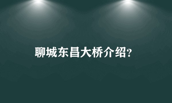 聊城东昌大桥介绍？