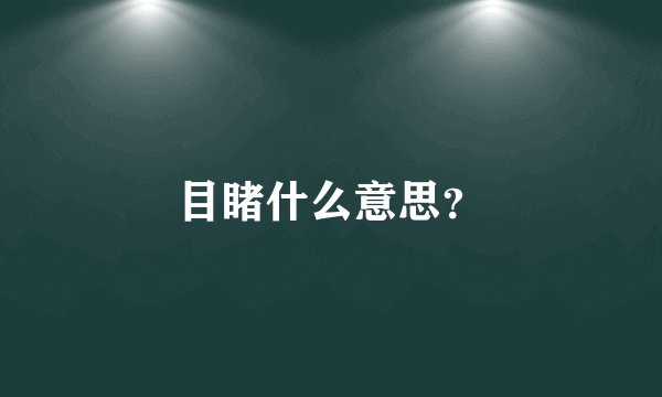 目睹什么意思？