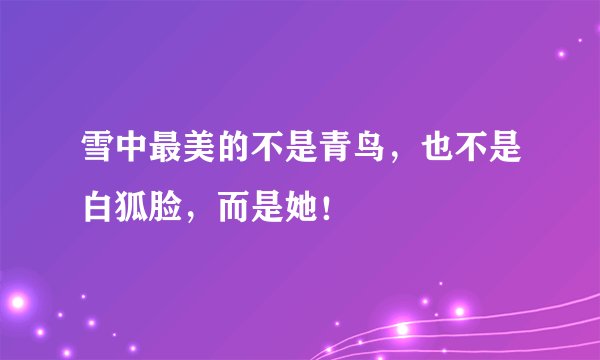 雪中最美的不是青鸟，也不是白狐脸，而是她！