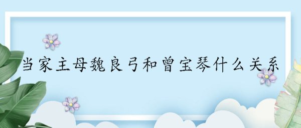 当家主母魏良弓和曾宝琴什么关系