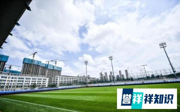 分析：天亮了？大连人终于解脱高薪低能 哈姆西克解约签约瑞超