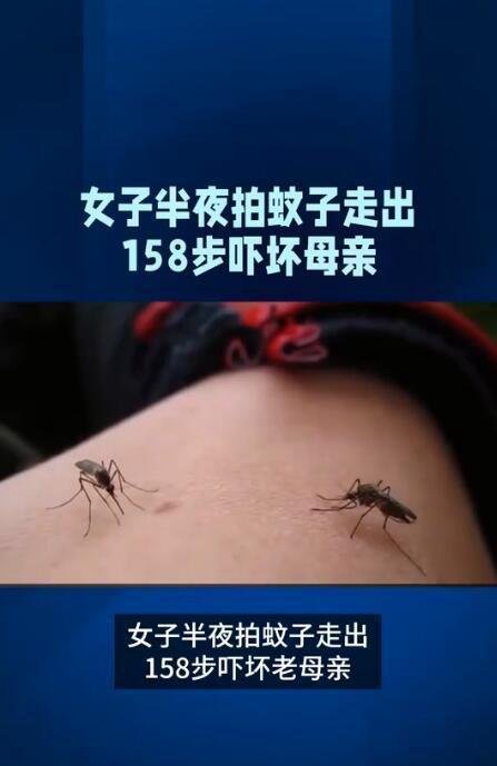 女子半夜拍蚊子走出158步吓坏母亲 这是咋情况?(图)