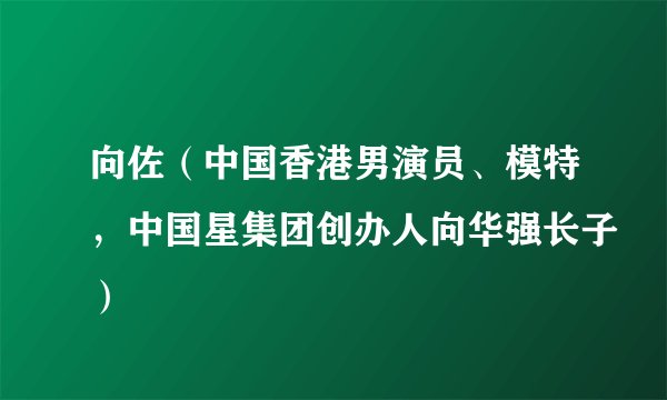 向佐（中国香港男演员、模特，中国星集团创办人向华强长子）