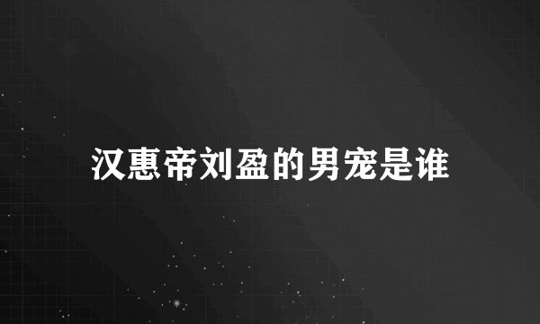汉惠帝刘盈的男宠是谁