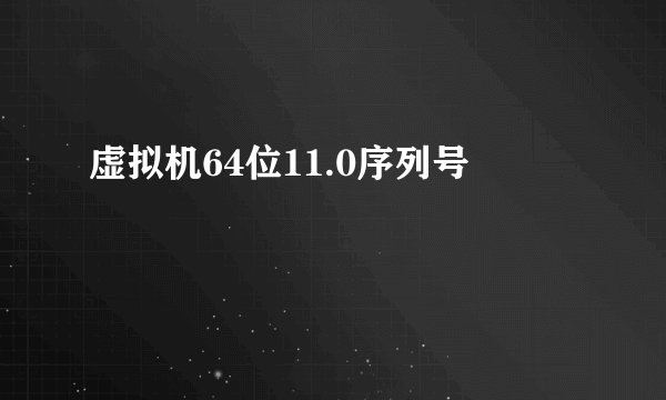 虚拟机64位11.0序列号