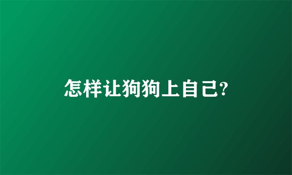 怎样让狗狗上自己?