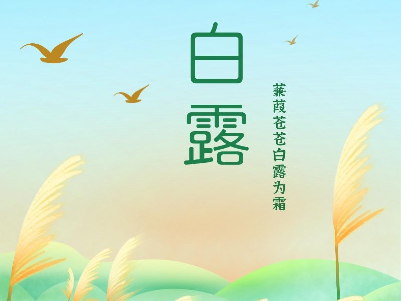 白露的三大忌讳