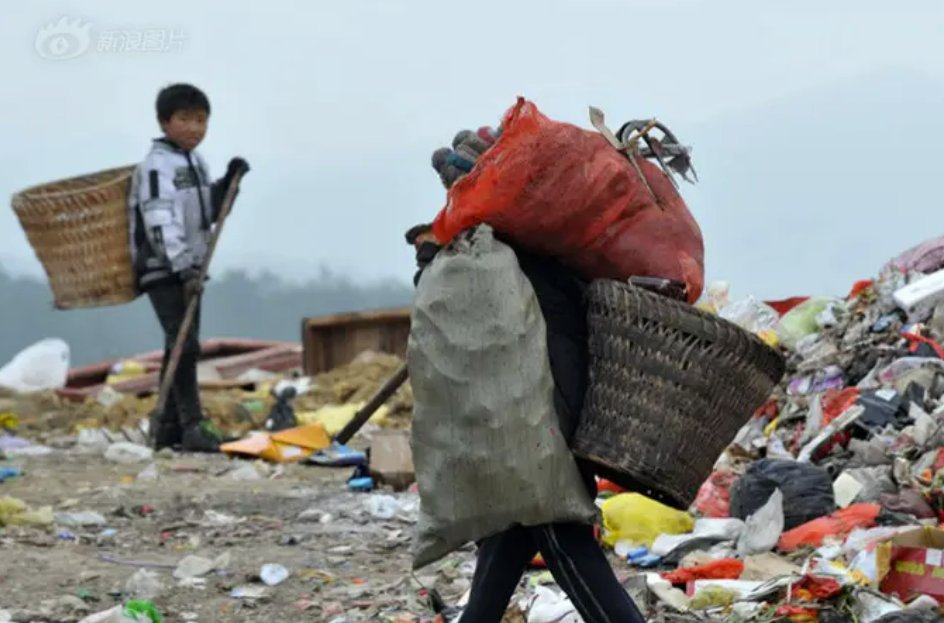 拾荒是什么意思?