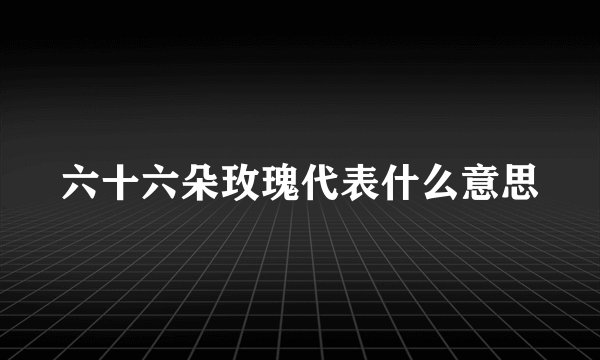 六十六朵玫瑰代表什么意思
