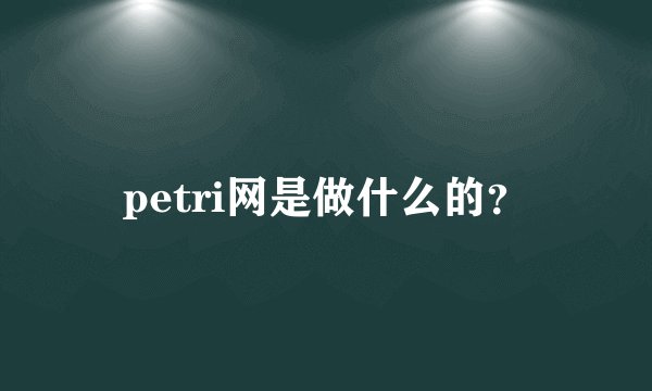 petri网是做什么的？