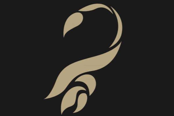 11月20日出生的是什么星座